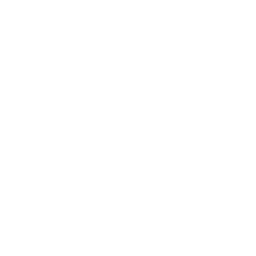 curso-preparatorio-policia-penal-de-minas-gerais (5)