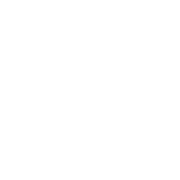 curso-preparatorio-policia-penal-de-minas-gerais (6)