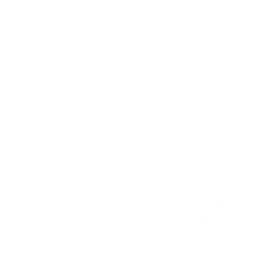 curso-preparatorio-policia-penal-de-minas-gerais (7)